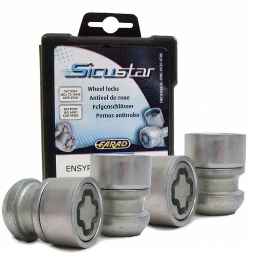 Wheel lock nuts ball - seat, r12